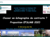 Classer en échographie de contraste – Proposition EFSUMB 2020