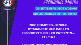 Capture d’écran 2025-12-02 161216