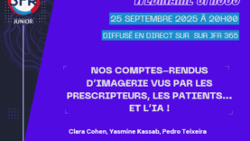 Capture d’écran 2025-12-02 161216